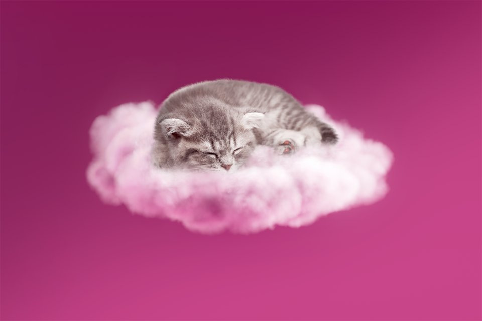 Automatic failover, illustrated